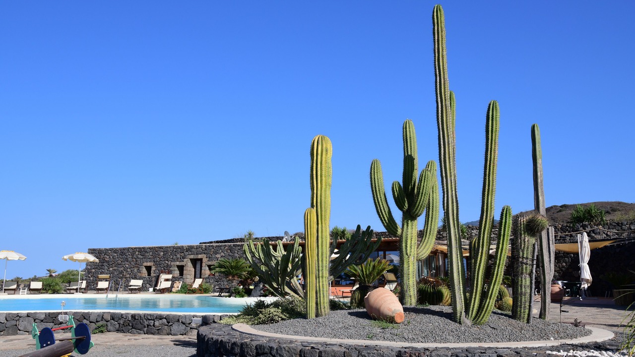 Photo of Outdoor in Pantelleria