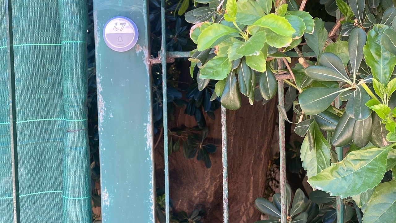 Photo of Outdoor in Carini