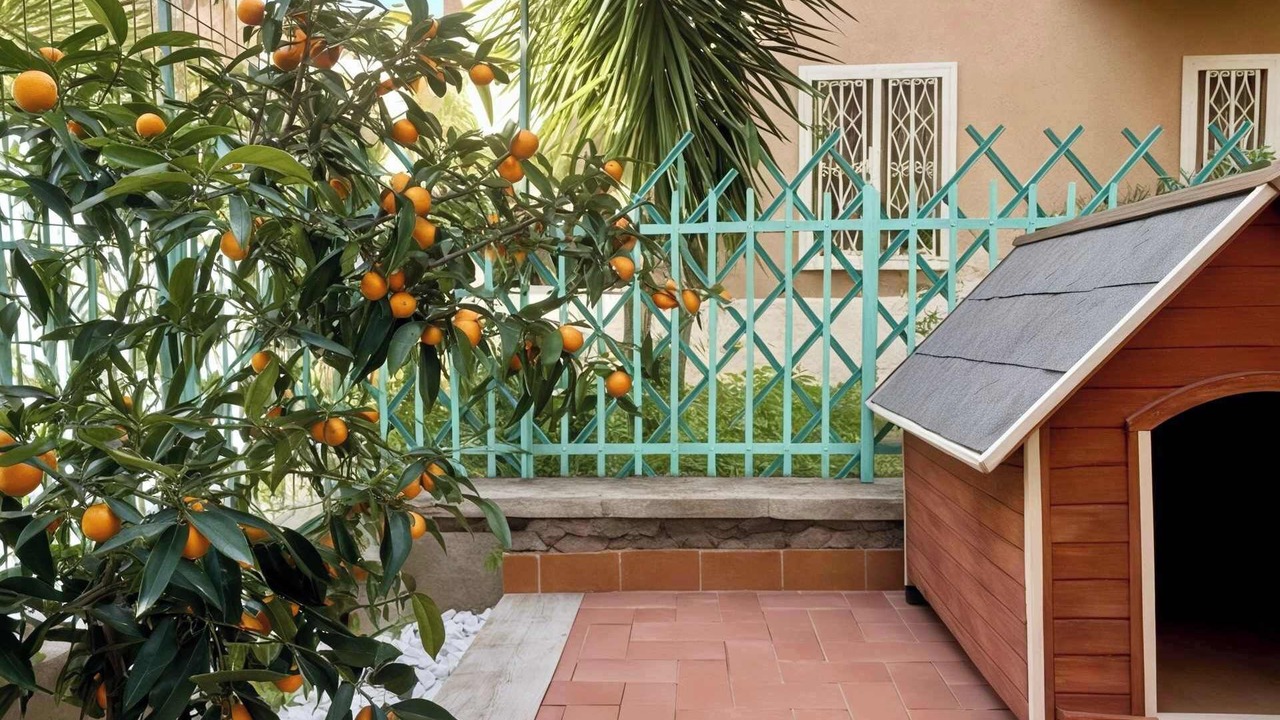 Photo of Patio Balcony in Prenestino-Centocelle
