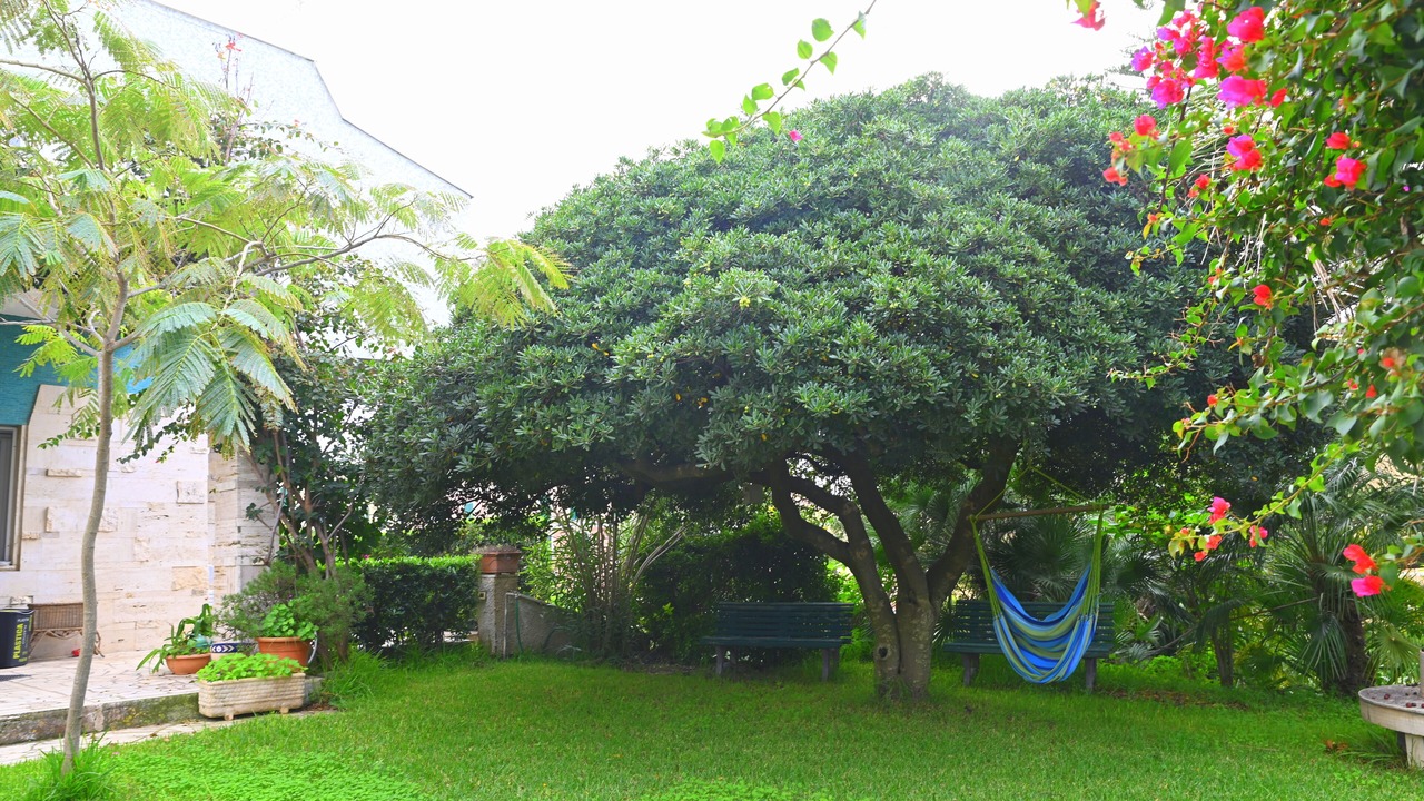 Photo of Outdoor in Anzio