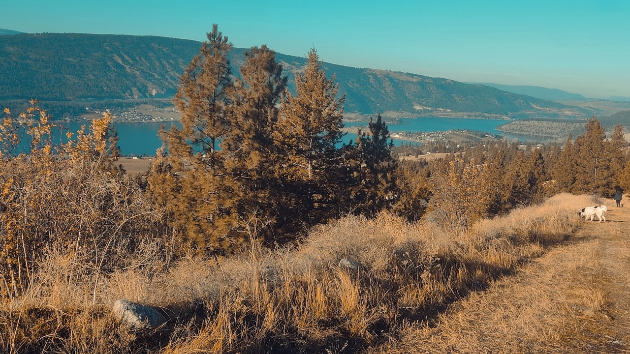 Photo of Others in Central Okanagan