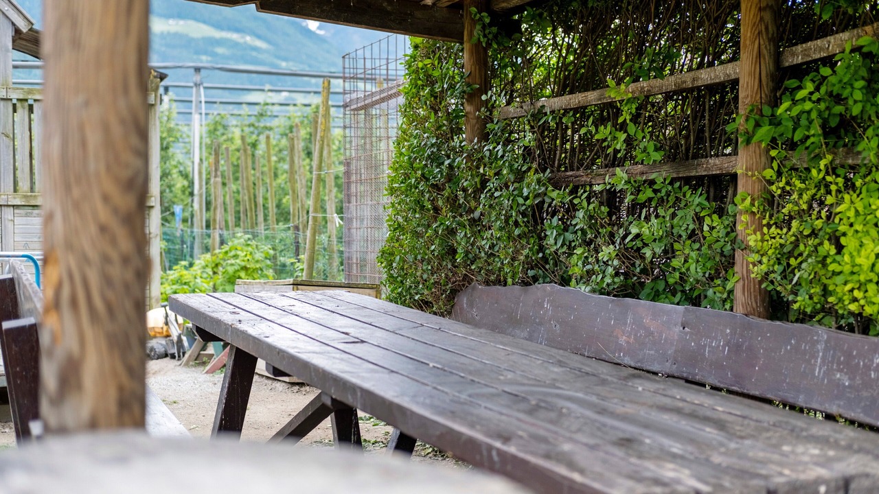 Photo of Patio Balcony in Castelbello-Ciardes