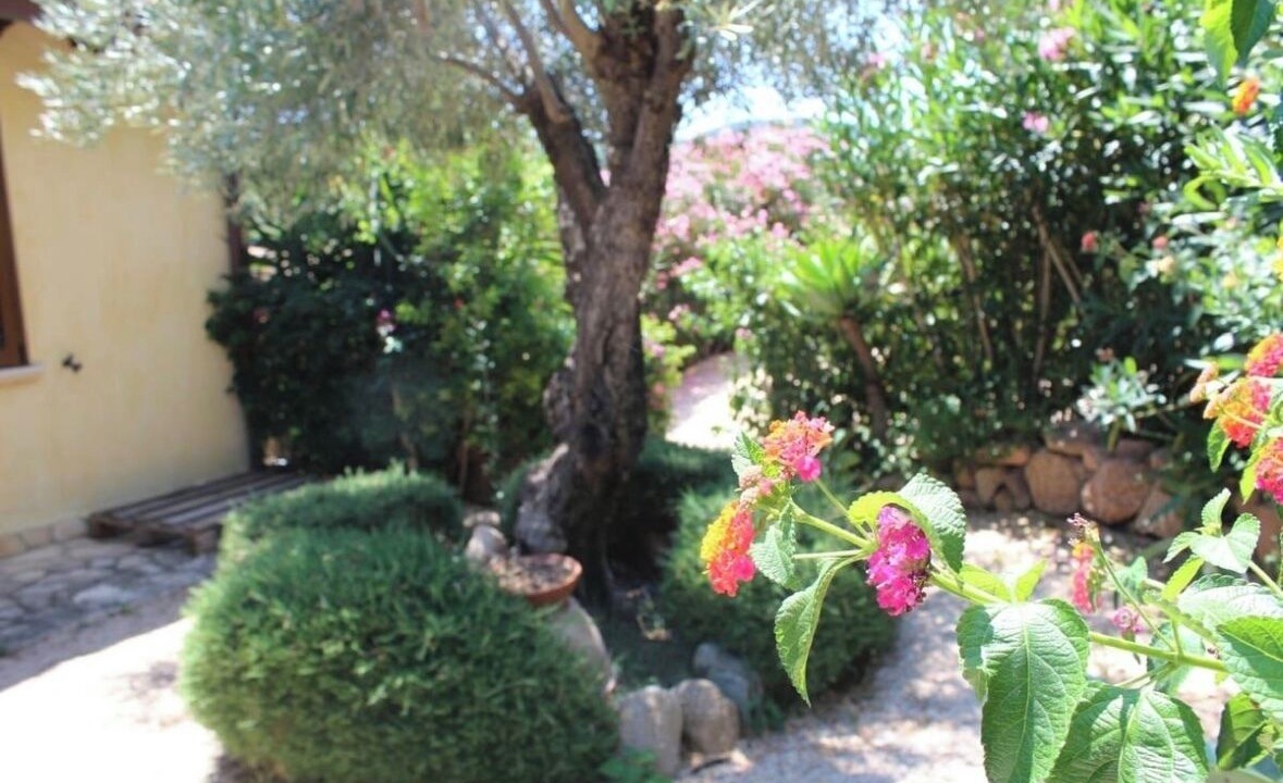 Photo of Outdoor in Domus de Maria