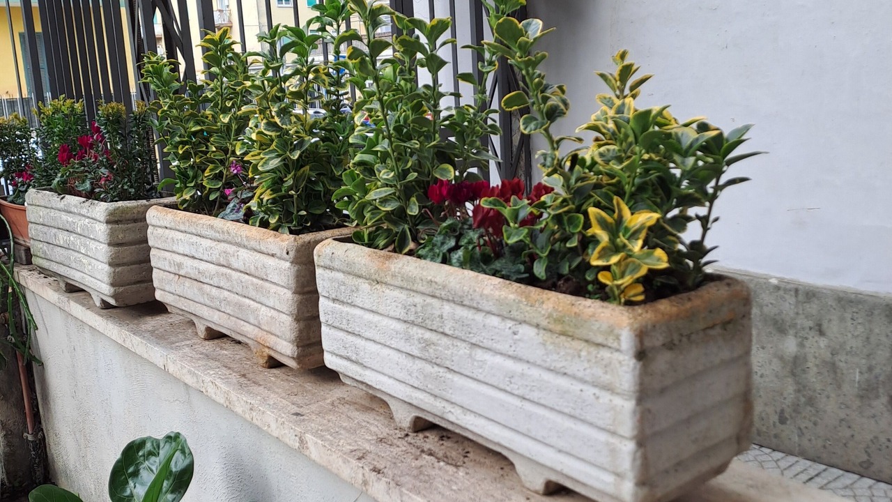 Photo of Outdoor in Prenestino-Centocelle
