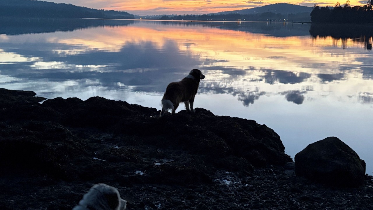 Photo of Others in Sooke