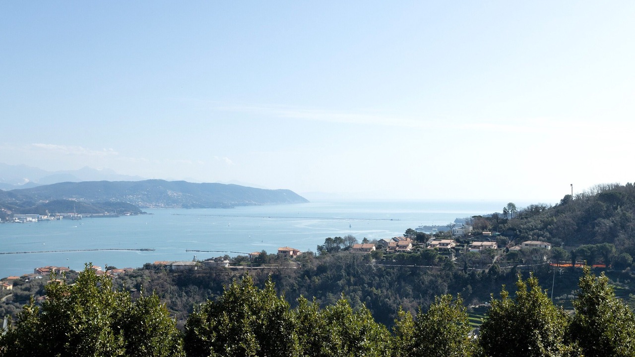 Photo of Others in La Spezia
