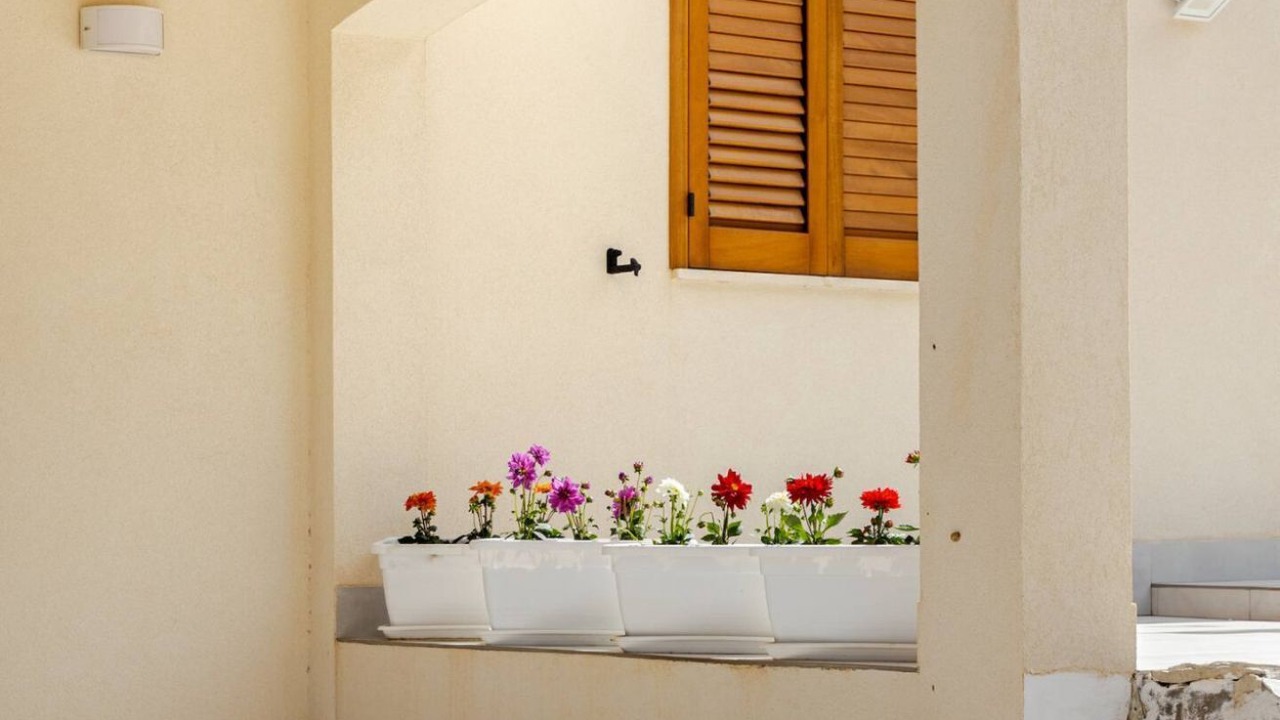 Photo of Outdoor in Scopello
