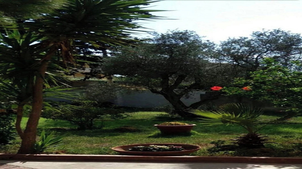 Photo of Outdoor in Mazara del Vallo