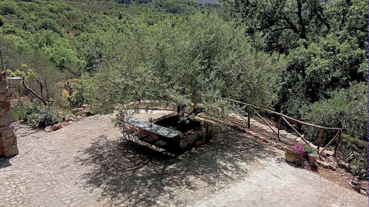 Photo of Outdoor in Madonie National Park