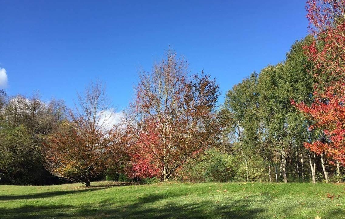 Photo of Outdoor in Fiuggi