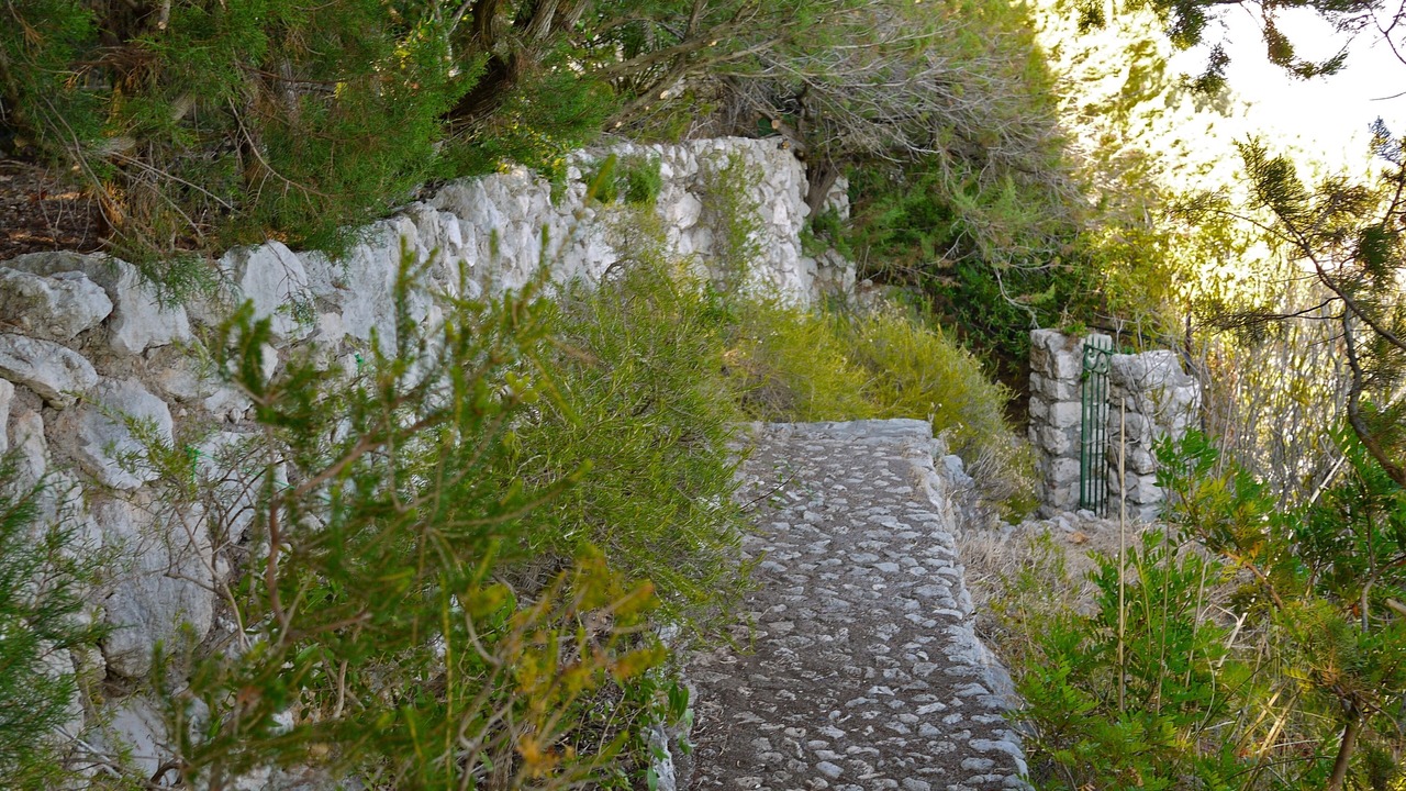Photo of Outdoor in Faro