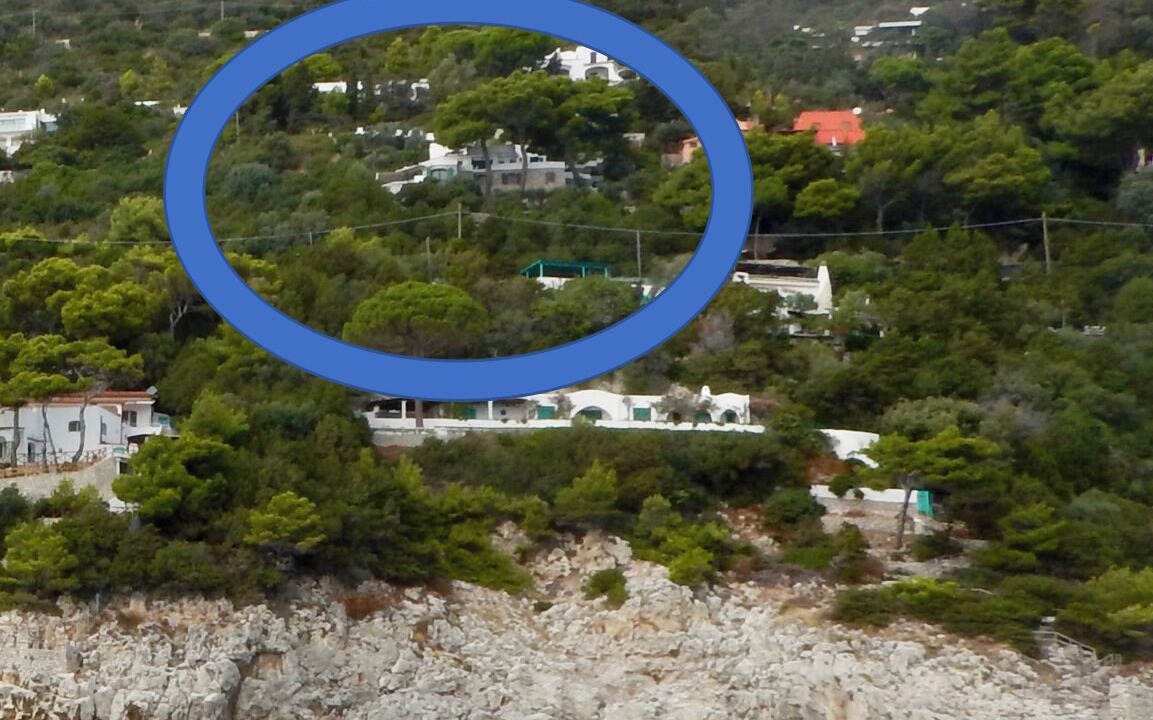 Photo of Others in Faro