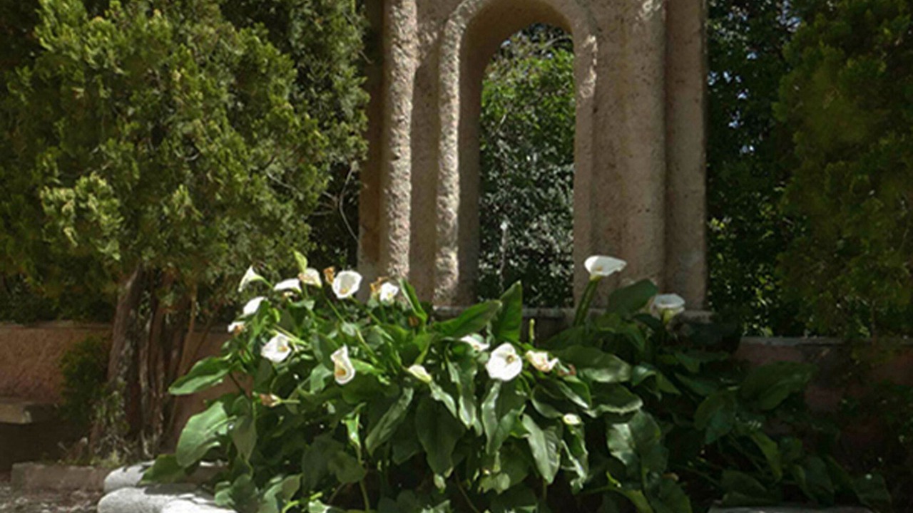 Photo of Outdoor in Porticello