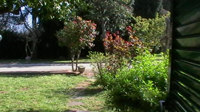 Photo of Others in Velletri
