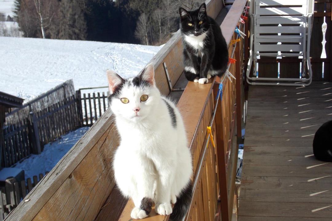 Photo of Others in Brunico
