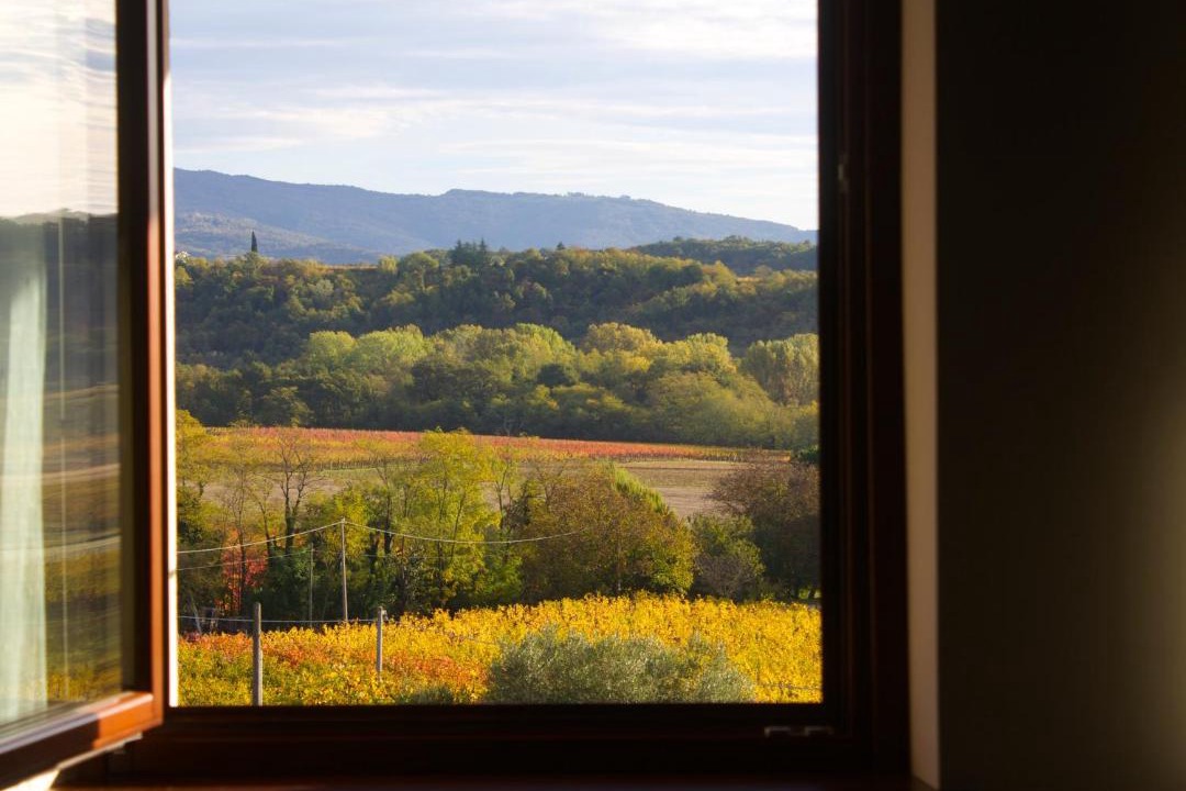 Photo of Others in Corno di Rosazzo