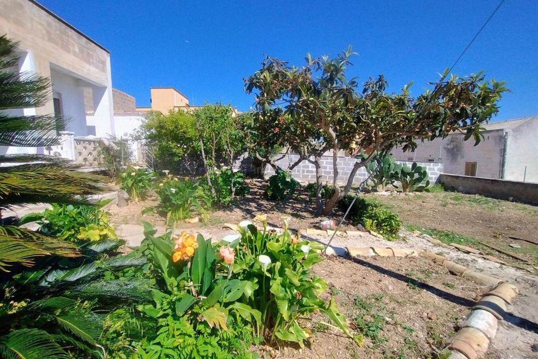 Photo of Others in Trapani