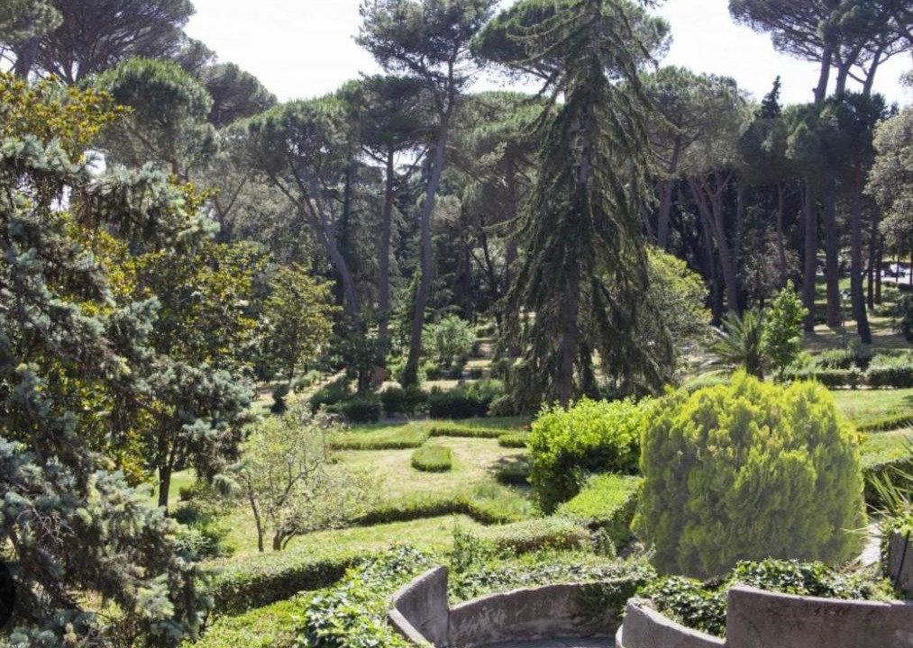 Photo of Others in Albano Laziale