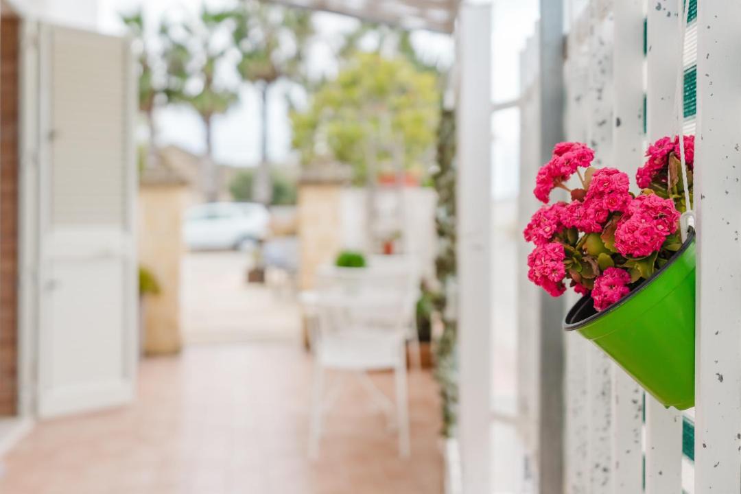 Photo of Others in Marsala