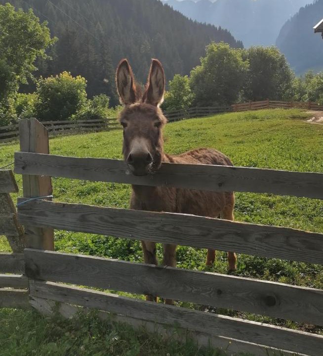 Photo of Others in Racines