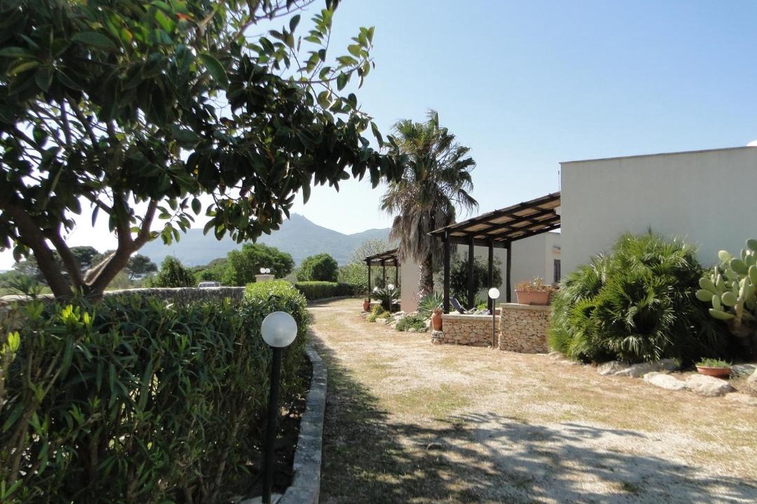 Photo of Others in Favignana