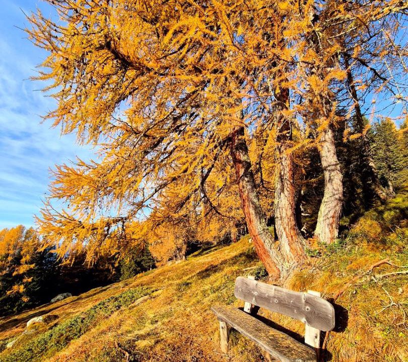 Photo of Others in Valle Aurina