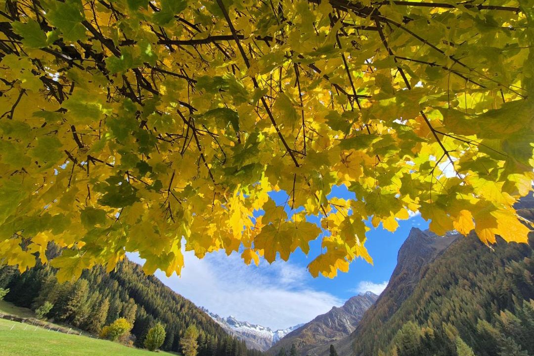Photo of Others in Valle Aurina