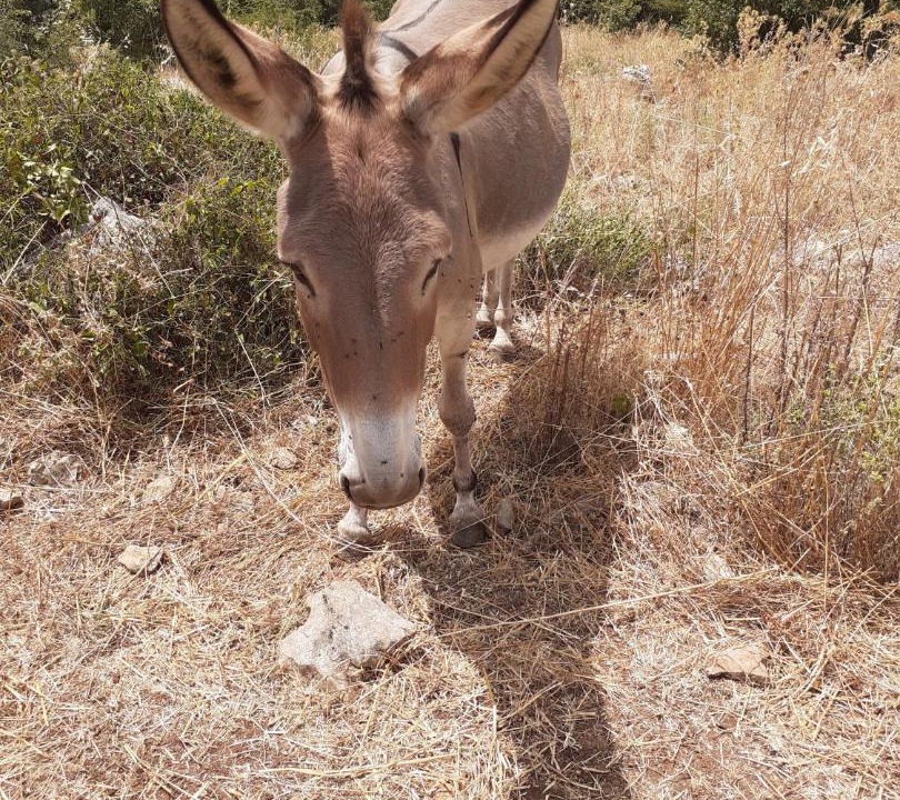 Photo of Others in Veroli