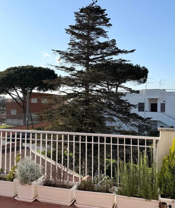 Photo of Patio Balcony in Ardea