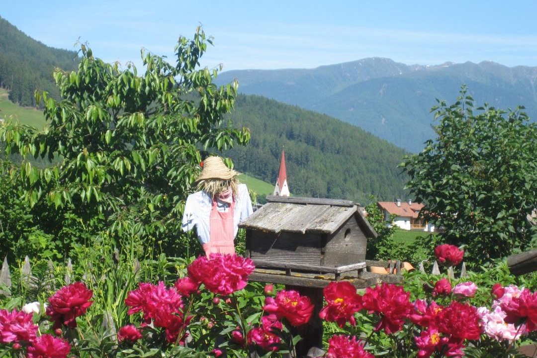Photo of Others in Valdaora di Mezzo