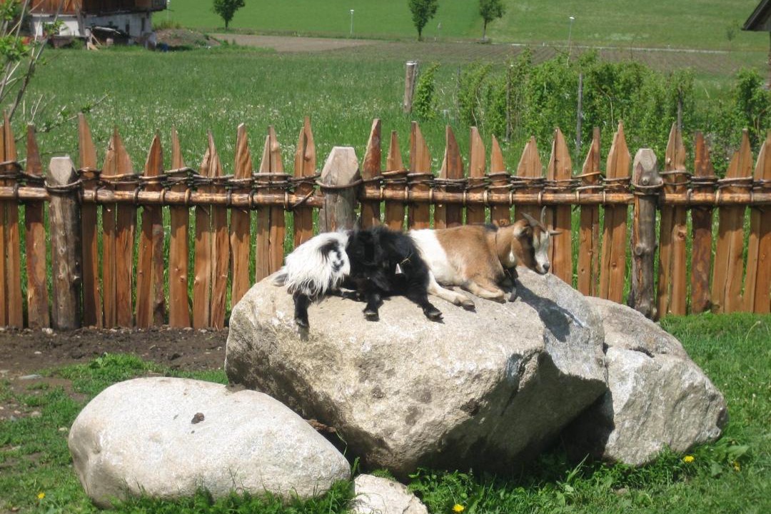 Photo of Others in Valdaora di Mezzo