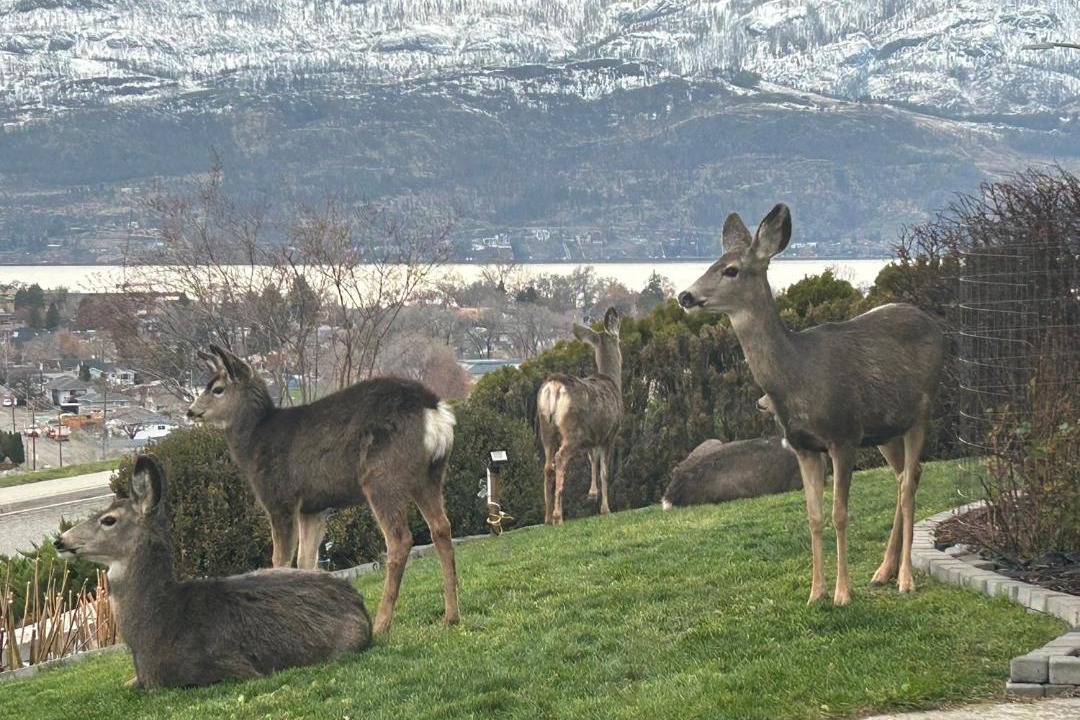 Photo of Others in North End
