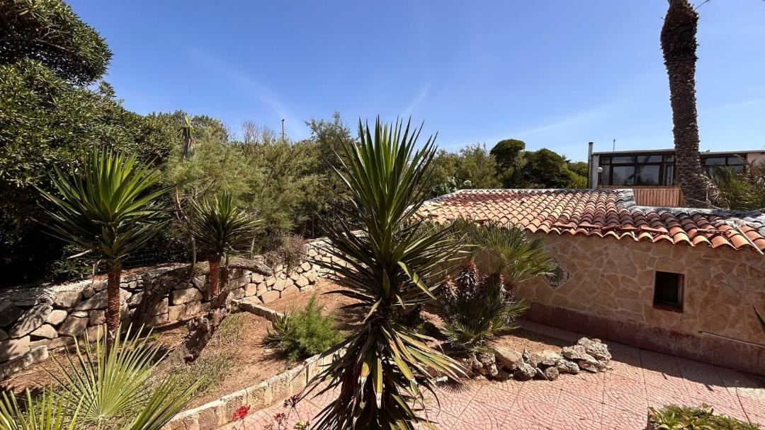Photo of Others in Favignana