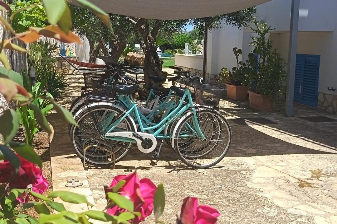 Photo of Others in Marsala