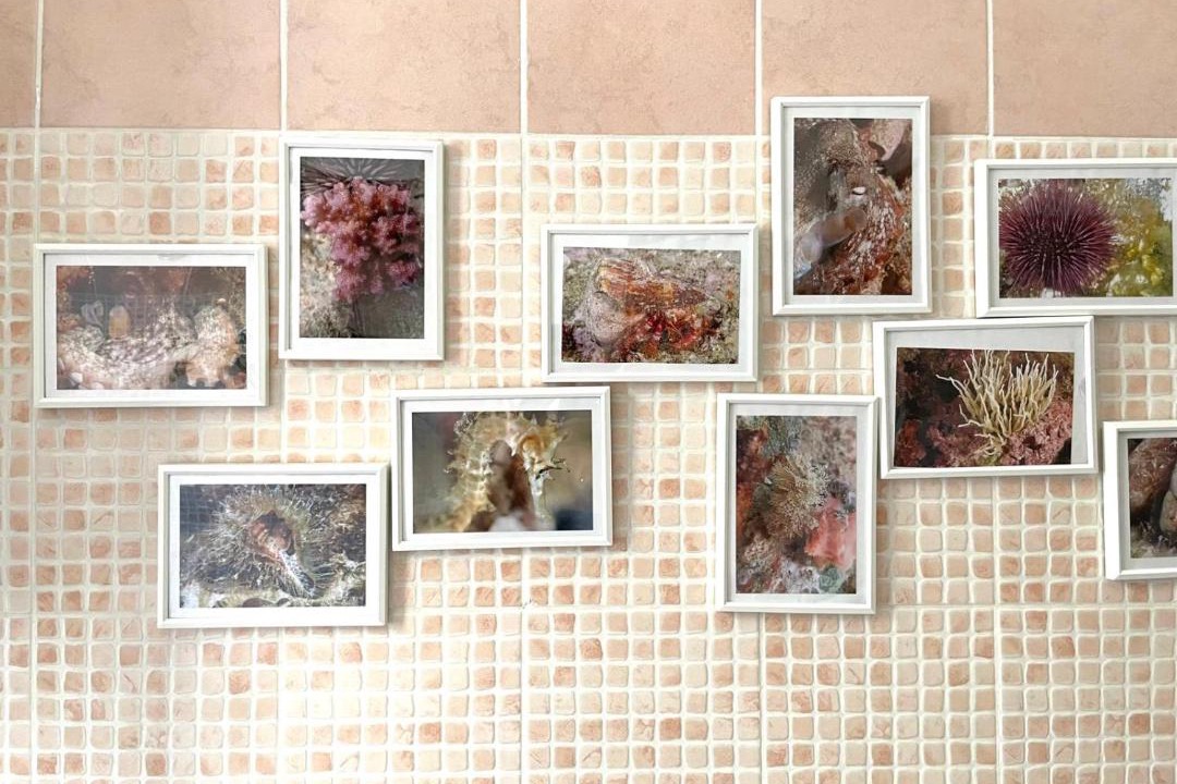Photo of Others in Prenestino-Centocelle