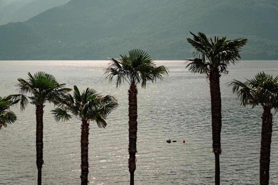 Photo of Others in Cannobio