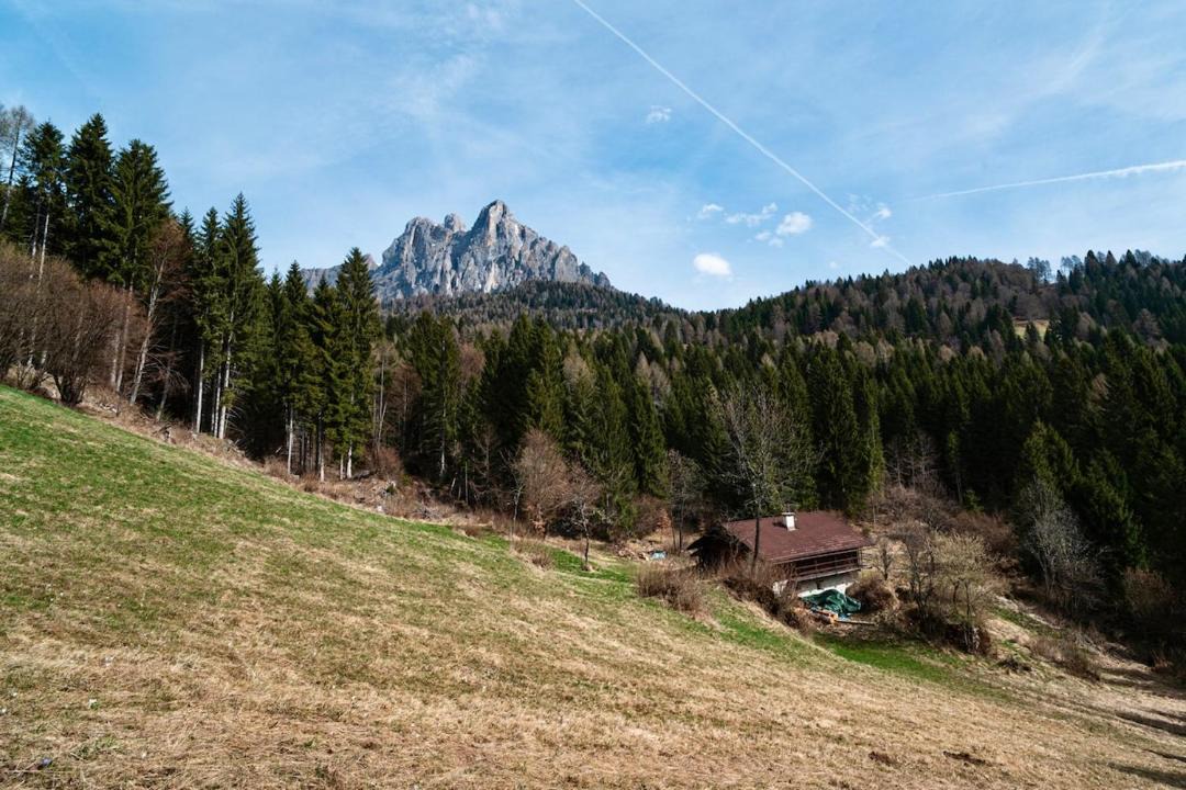 Photo of Others in Tonadico
