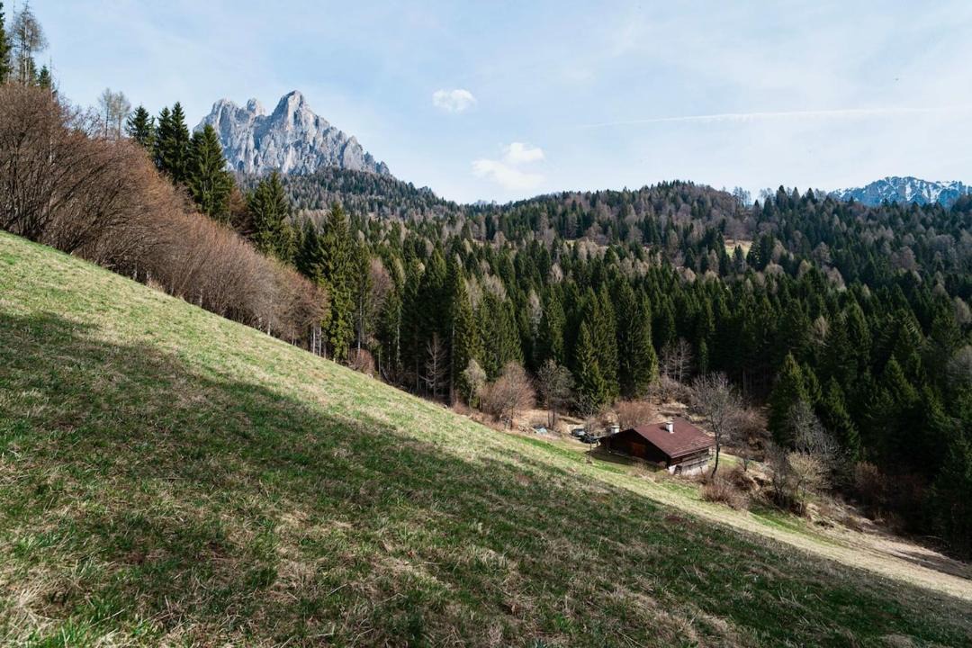 Photo of Others in Tonadico