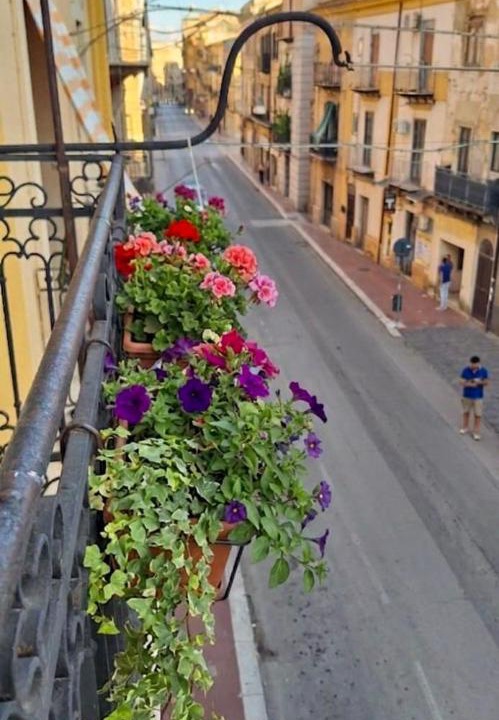 Photo of Others in Caltanissetta