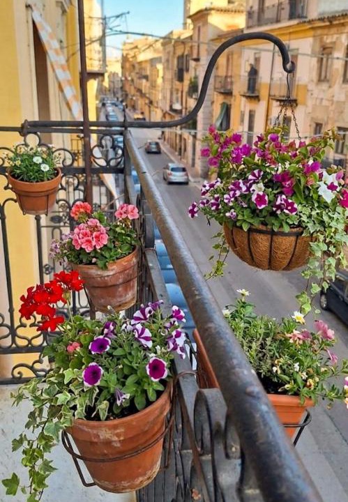 Photo of Others in Caltanissetta