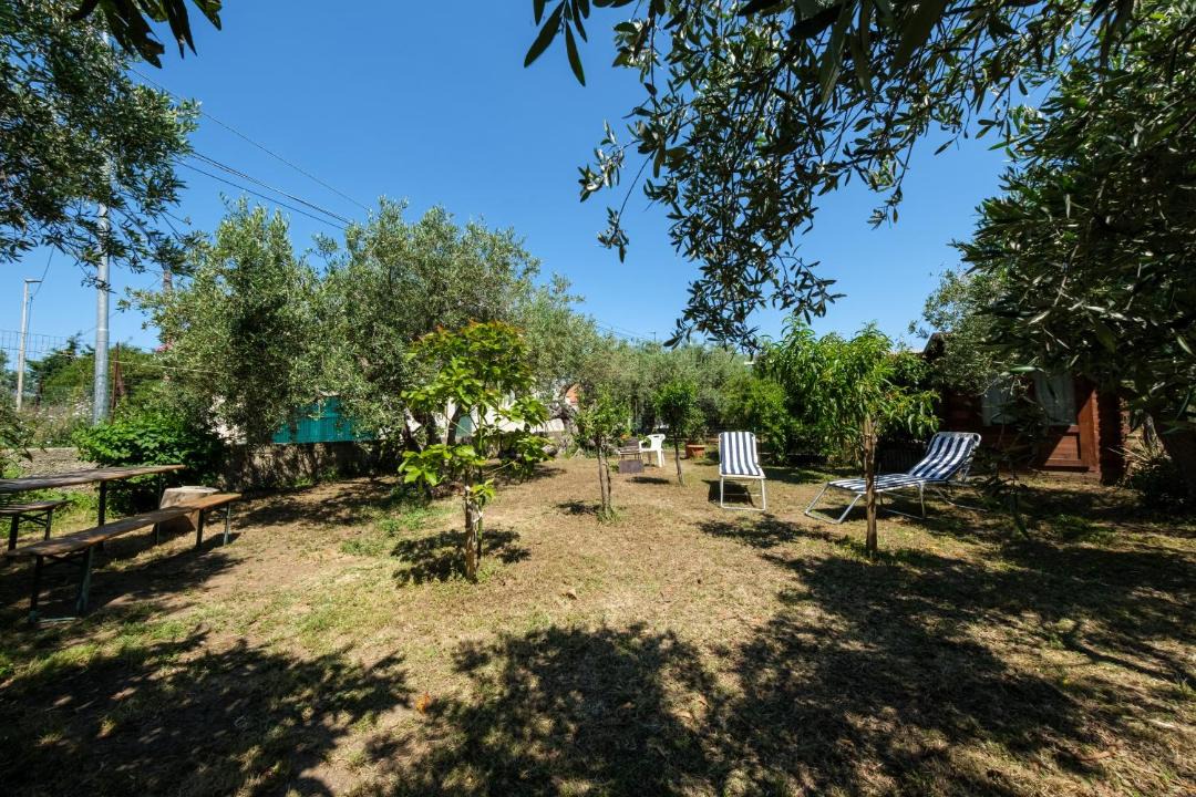 Photo of Others in Province of Messina