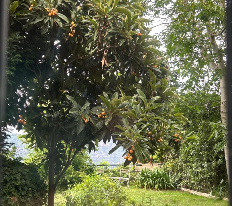 Photo of Others in Castel Gandolfo