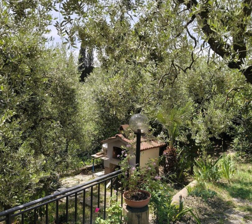 Photo of Others in San Baronto