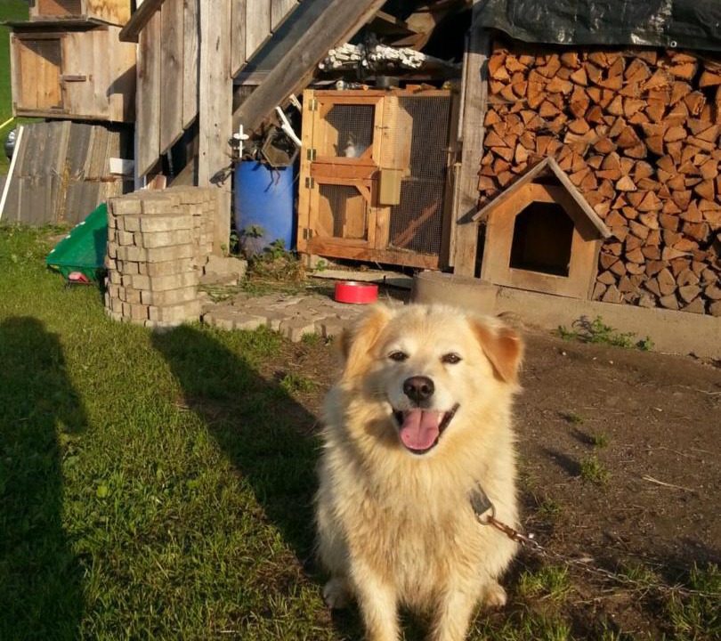 Photo of Others in Brunico