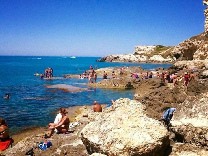 Photo of Others in Palma di Montechiaro