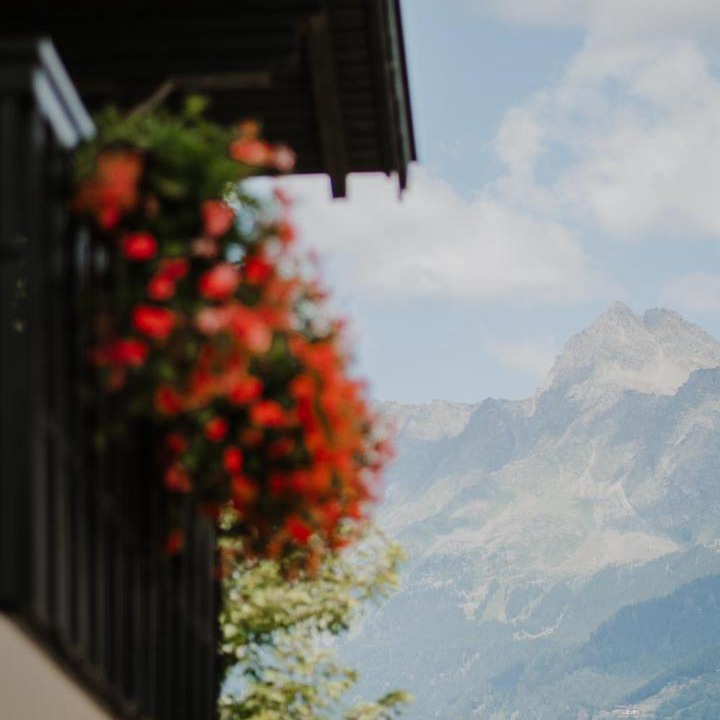 Photo of Others in Merano