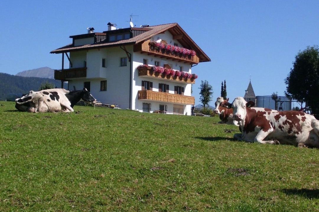 Photo of Others in Maranza