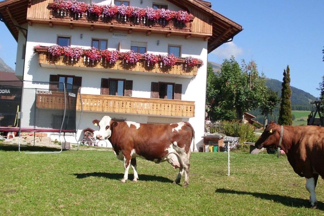 Photo of Others in Maranza