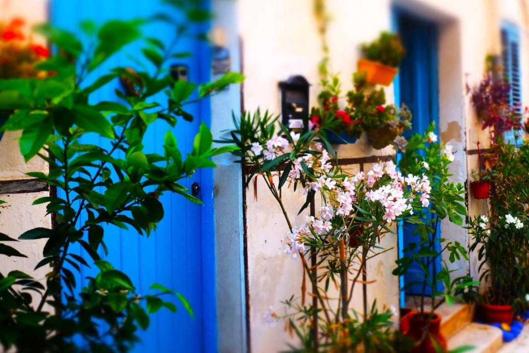Photo of Others in Alcamo Historic Center