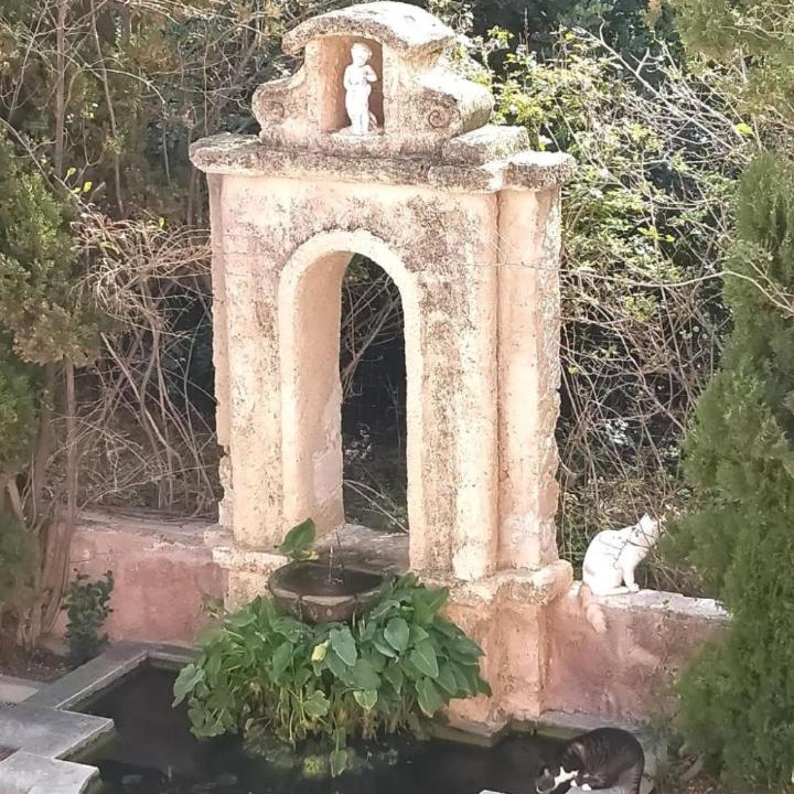 Photo of Others in Porticello